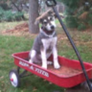 Meet your Posher, Dawna